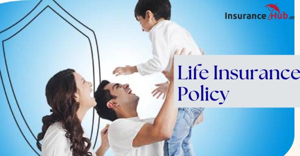 What are the key provisions of a life insurance policy?